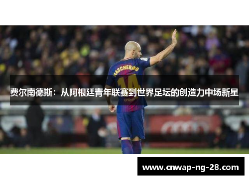 费尔南德斯：从阿根廷青年联赛到世界足坛的创造力中场新星