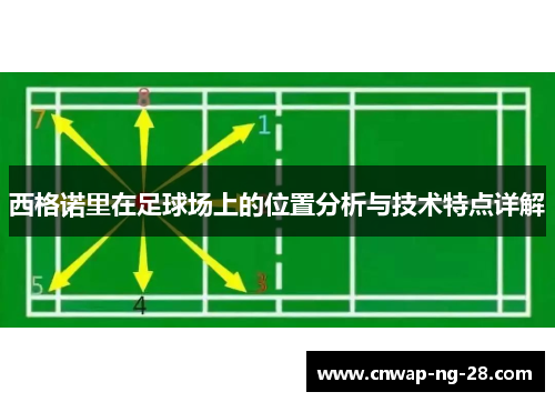 西格诺里在足球场上的位置分析与技术特点详解